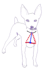 Dog chest