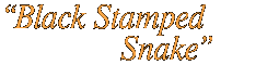 Black Stamped Snake